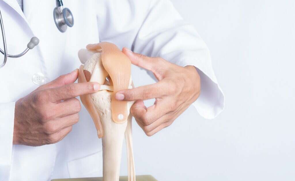 Orthopedic Business Unit