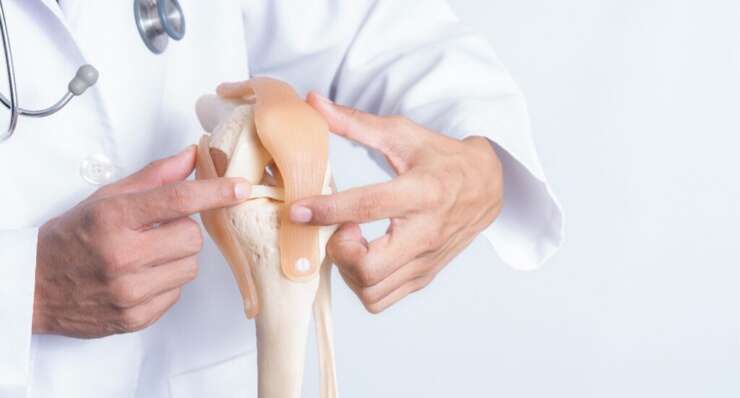 Orthopedic Business Unit